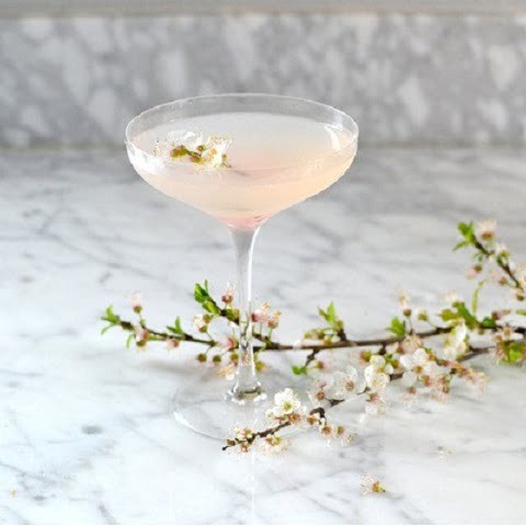 rượu mạnh pha cocktail Rum Hemingway Daiquiri