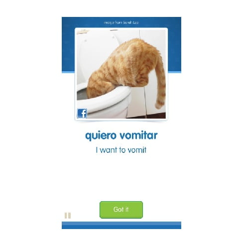 app học tiếng Tây Ban Nha cat spanish