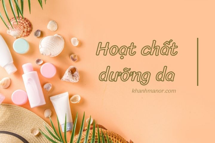 hoat-chat-duong-da